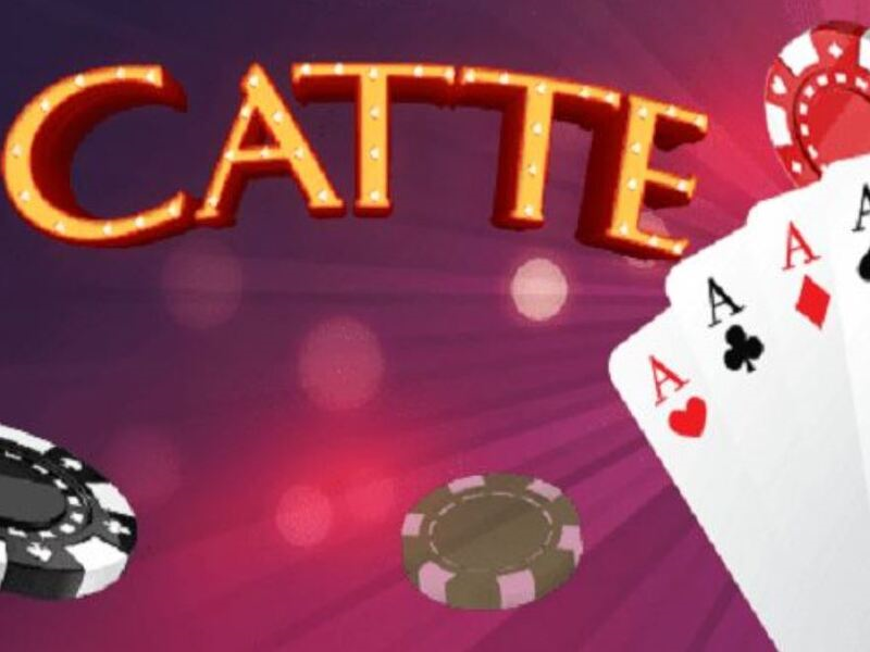 bai catte 1 Giới thiệu bài catte?