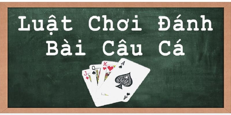 bai cau ca 1 Hướng dẫn nhanh về cách chơi bài câu cá