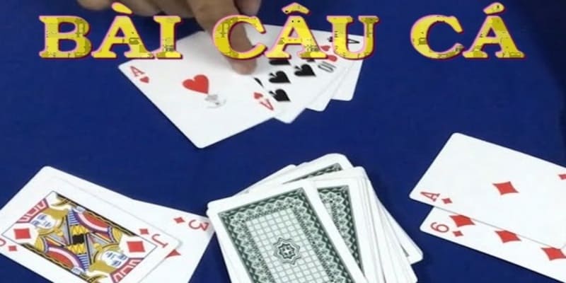 bai cau ca 3 Mẹo hay khi đánh bài câu cá cho người mới